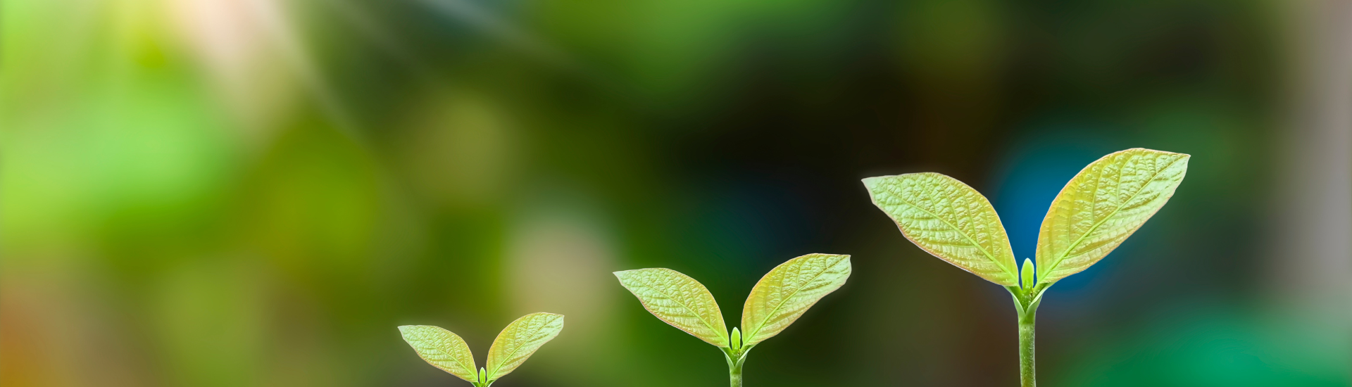 Lire la suite à propos de l’article LES RESULTATS DE L’ETUDE ANNUELLE “OBJECTIFS DE DEVELOPPEMENT DURABLE ET ENTREPRISES FRANÇAISES EN ACTION”