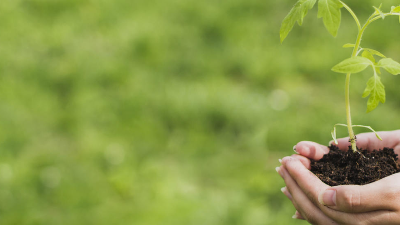 Lire la suite à propos de l’article Simplification environnementale : participez à la consultation européenne !